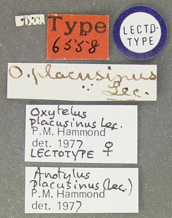 Media type: image;   Entomology 6558 Aspect: labels